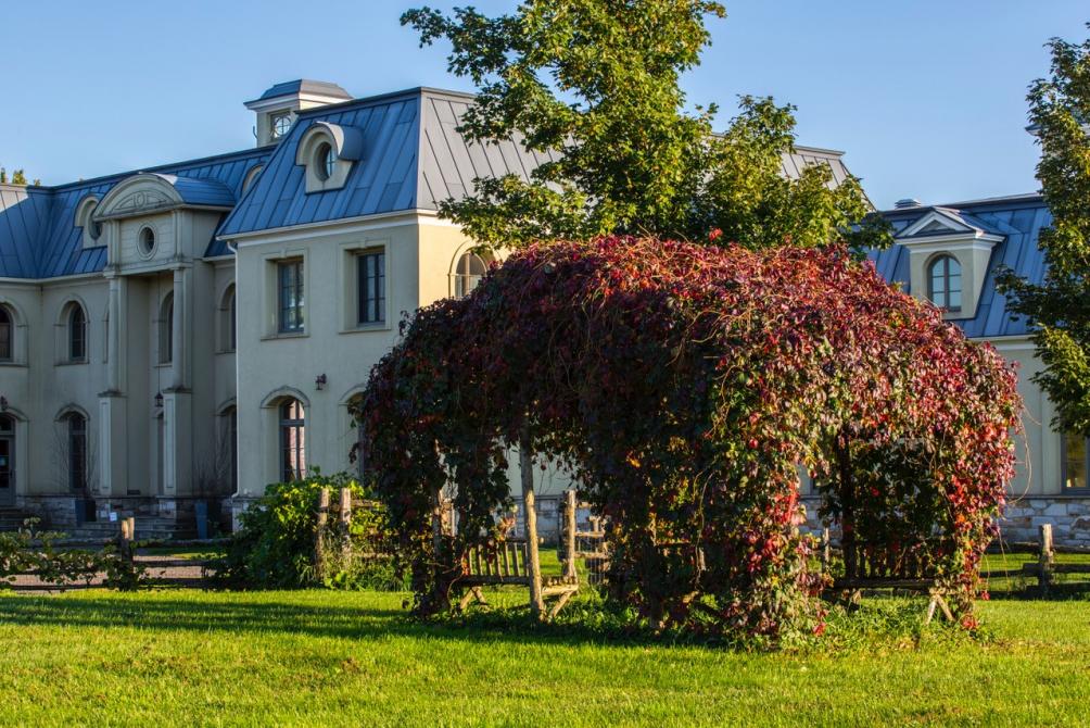 La Belle Alliance, vignoble, ©David Chapman: ©David Chapman