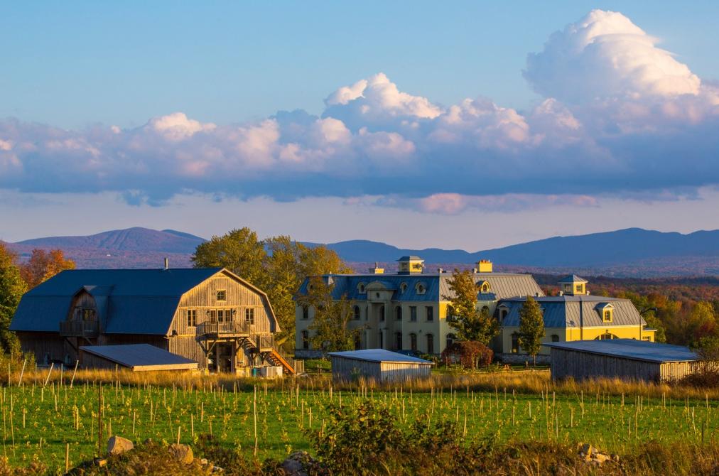 La Belle Alliance, vignoble, ©David Chapman: ©David Chapman