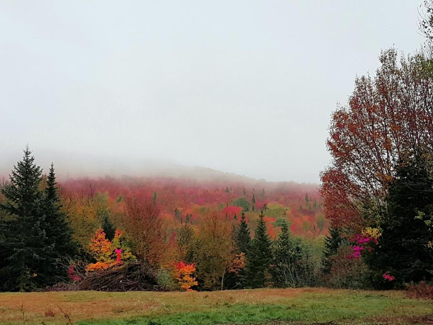Lauz Altitude Chartierville Eastern Townships (Quebec)