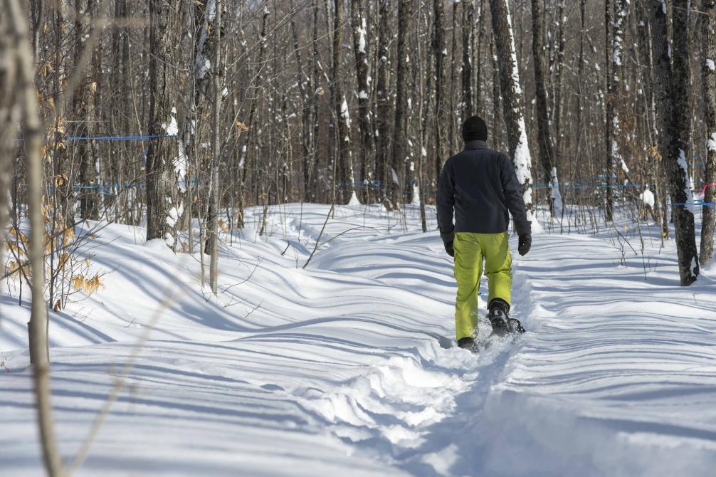 Sentier raquette: In winter, our hiking trails turn into snowshoe trails.