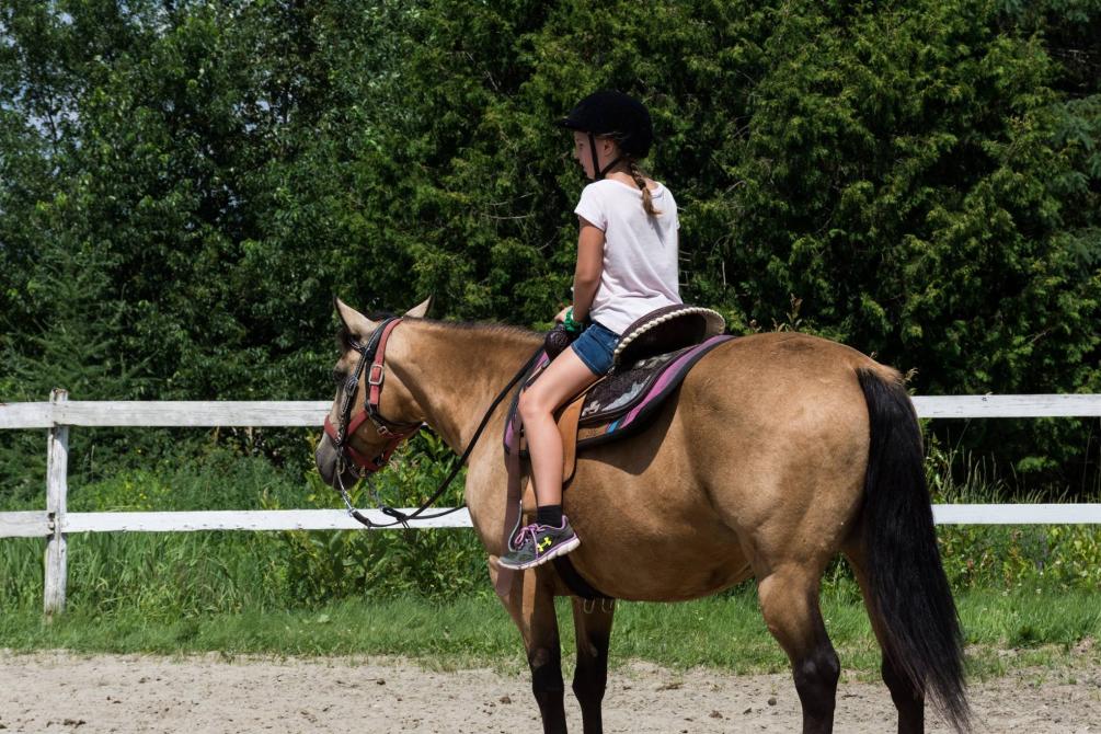 Horseback riding lesson: