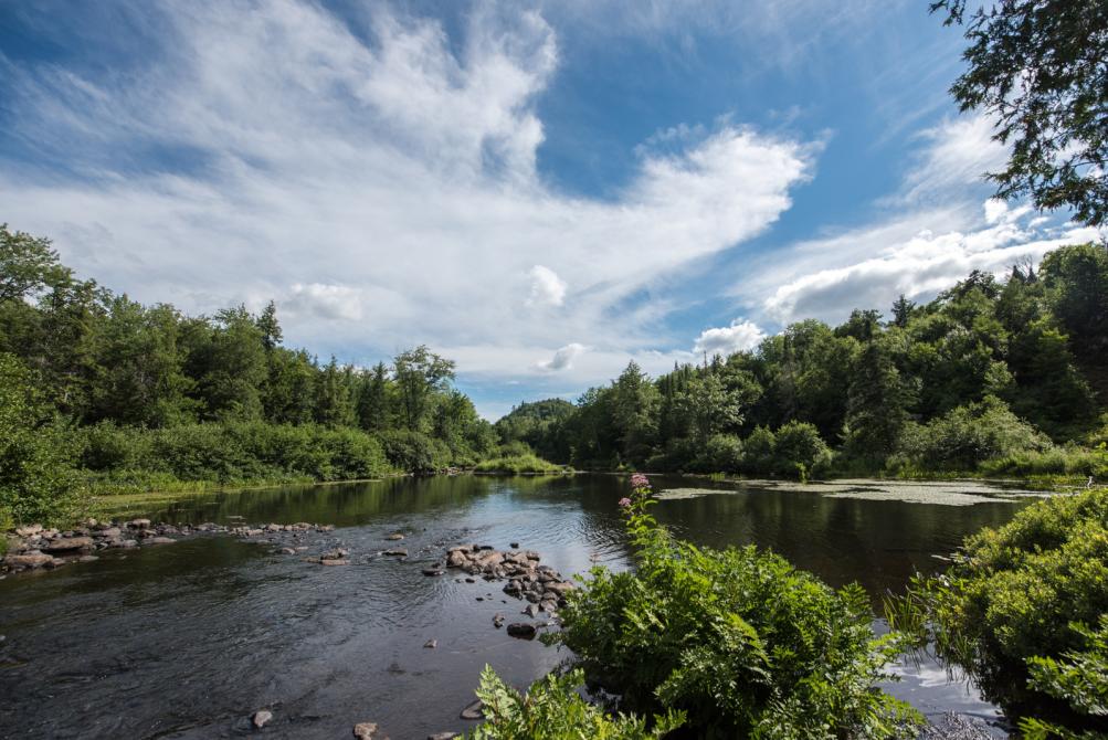 Les Côteaux Missisquoi: The beauty of Missisquoi river!