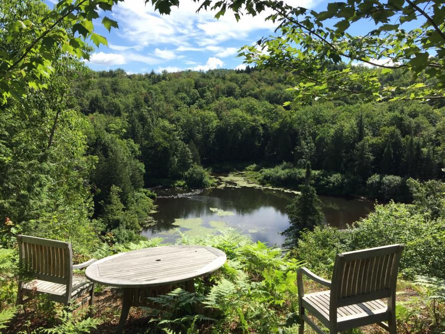 The Missisquoi river: