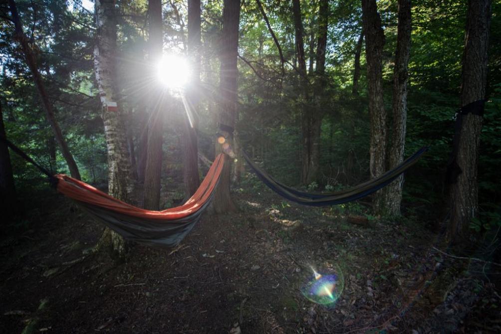 The hammock: