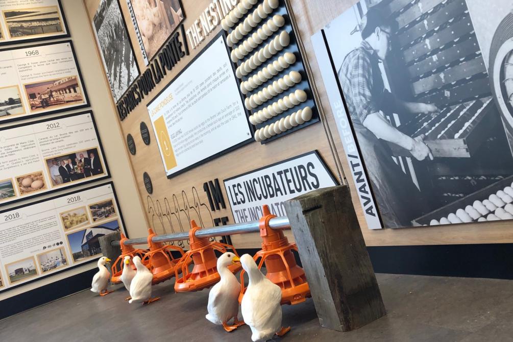 Brome Lake Ducks Ltd: Duck Interpretation Center