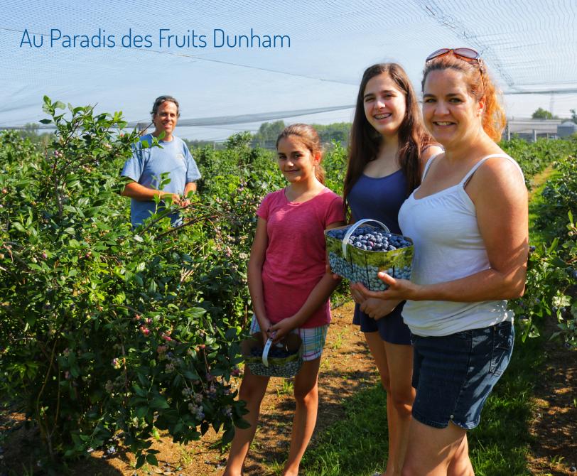 Pick your own of Blueberries, Raspberries, Red & Black currants and gooseberries: