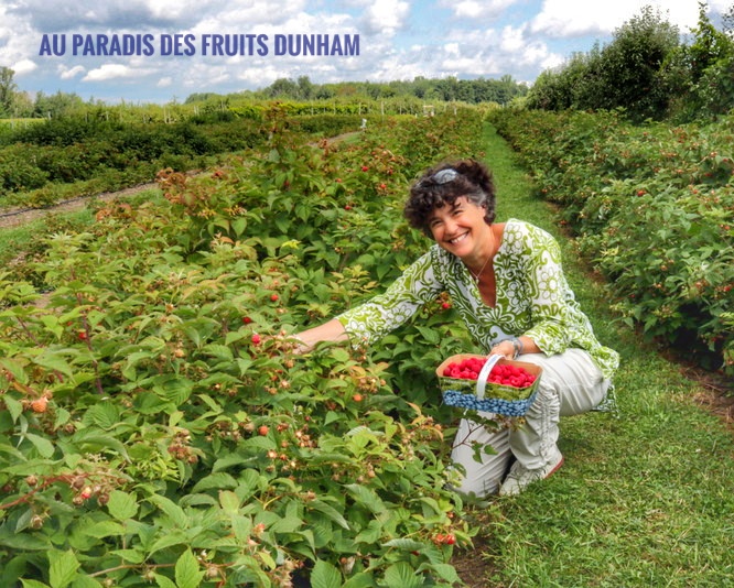 Raspberry pick your own: