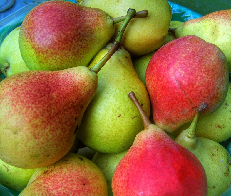 Delicious PEARS, (many varieties):