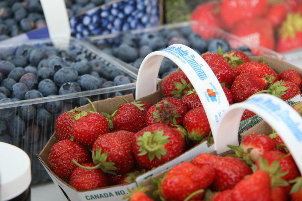 STRAWBERRY, BLUEBERRY, and more; raspberry, currant, blackcurrent, cherry, gooseberry, blackberry: