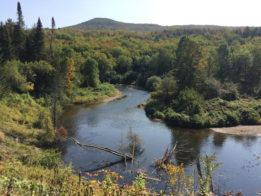 Camping Havre des Îles Mansonville (Potton Township) Eastern Townships (Quebec)