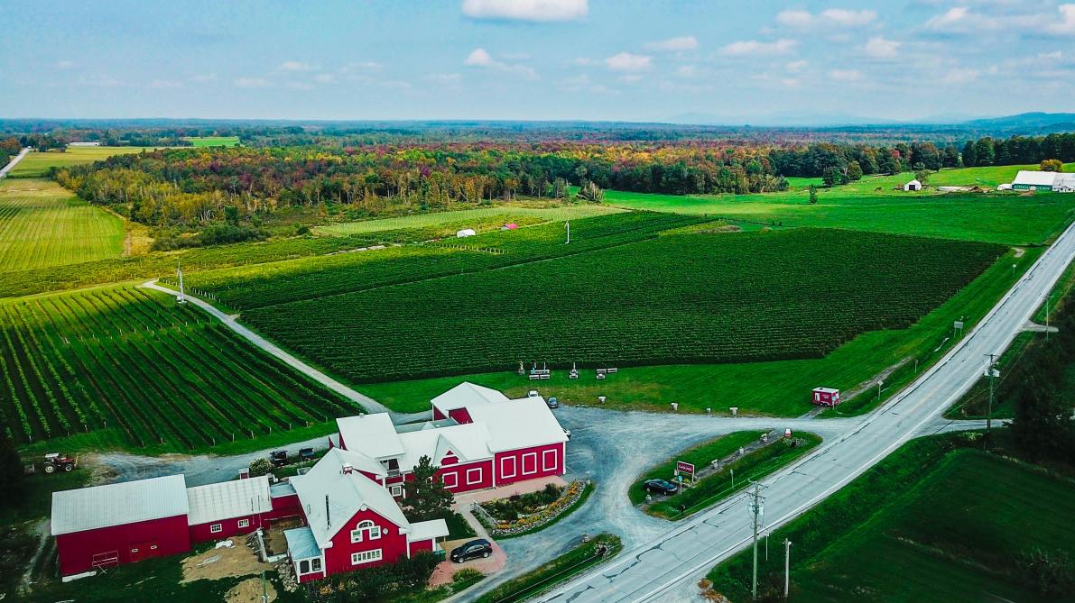 Vignoble Gagliano aerial view: Aerial view of Vignoble Gagliano Vineyards