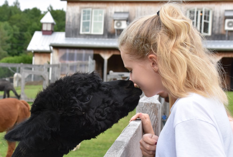 Guided tour of the farm: Guided tours are available from late June to mid-October.