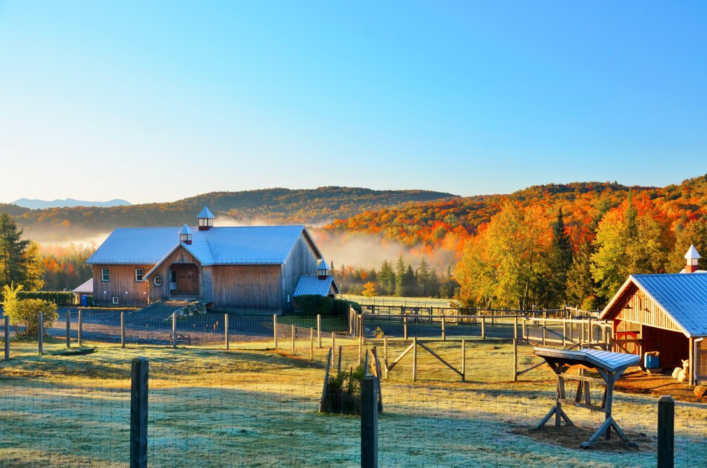 Autumn at the farm: The fall colours are absolutely spectacular at the farm!