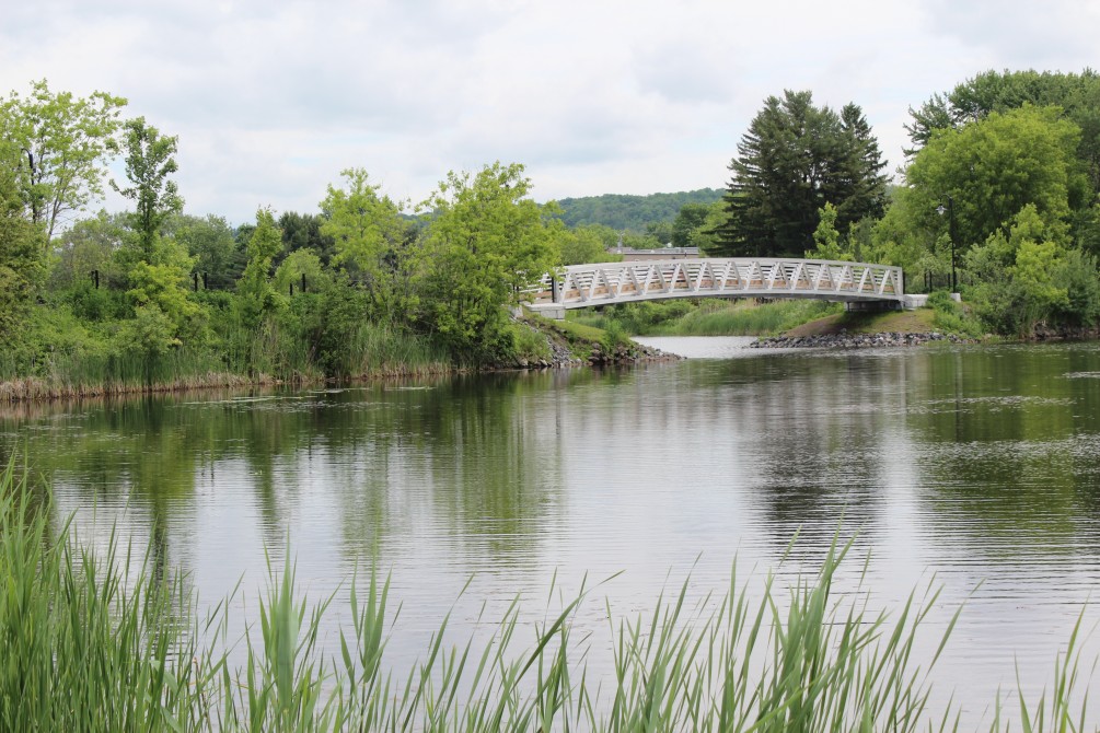 Stevens Bridge: