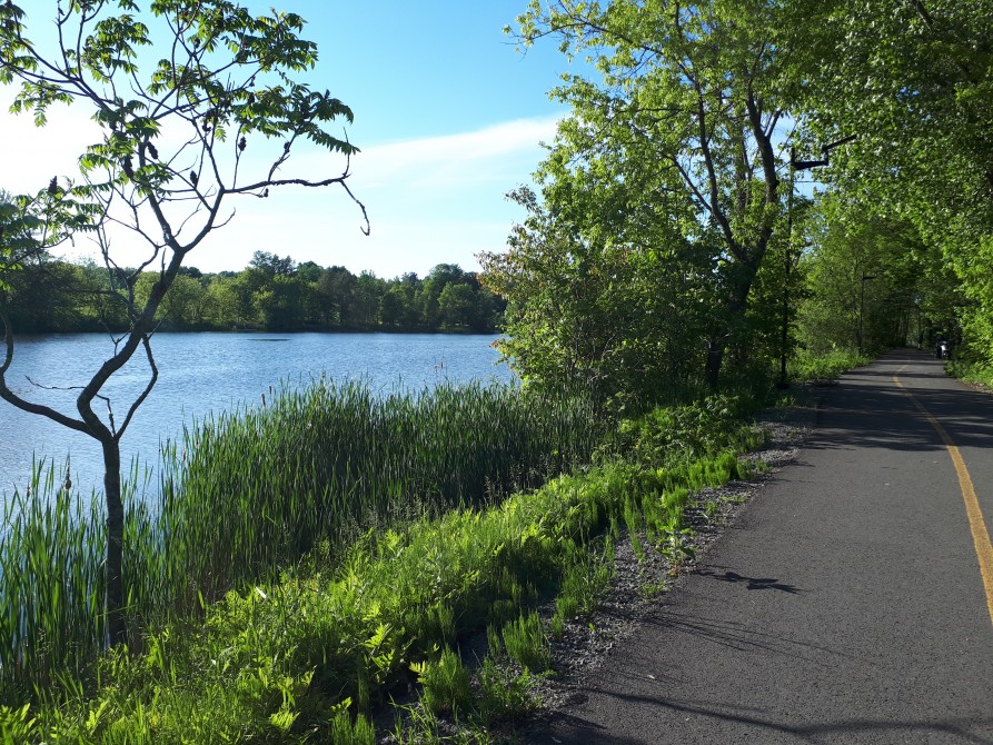 Sentier des Libellules: