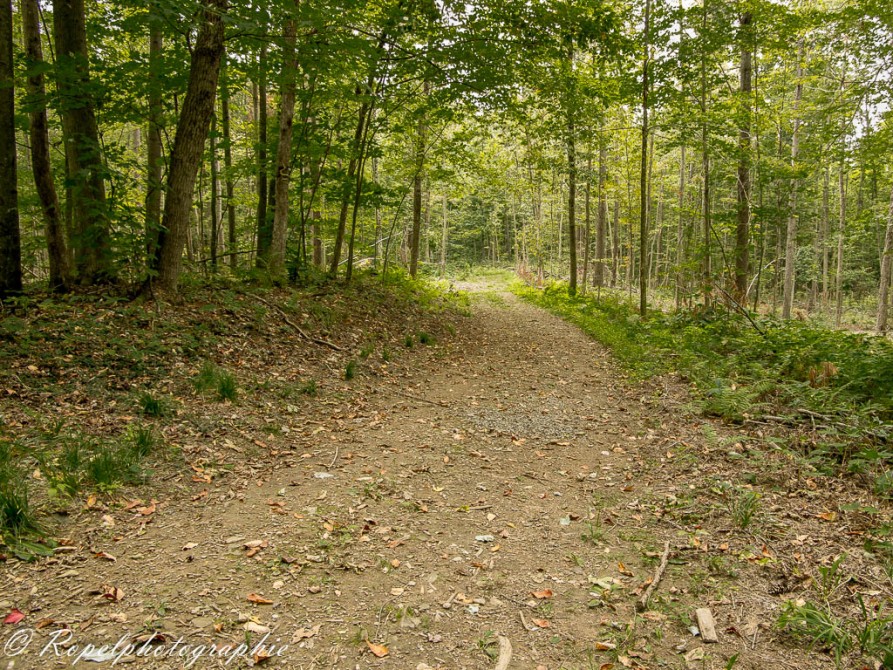 Walking trails: