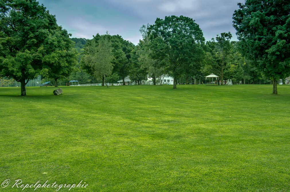 picnic area: