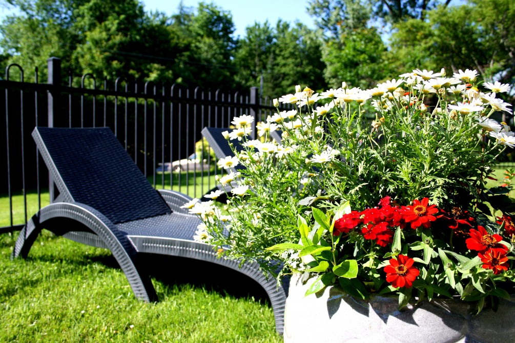 Pool- Garden: