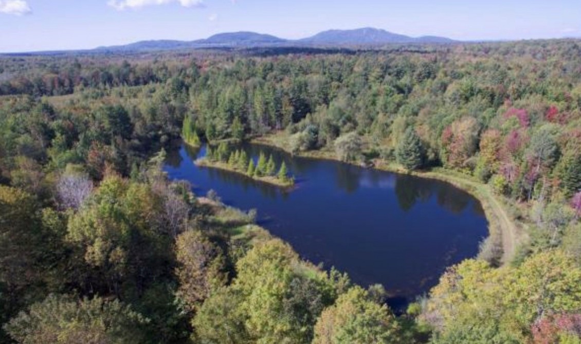 Domaine Jolivent - Aerial view: