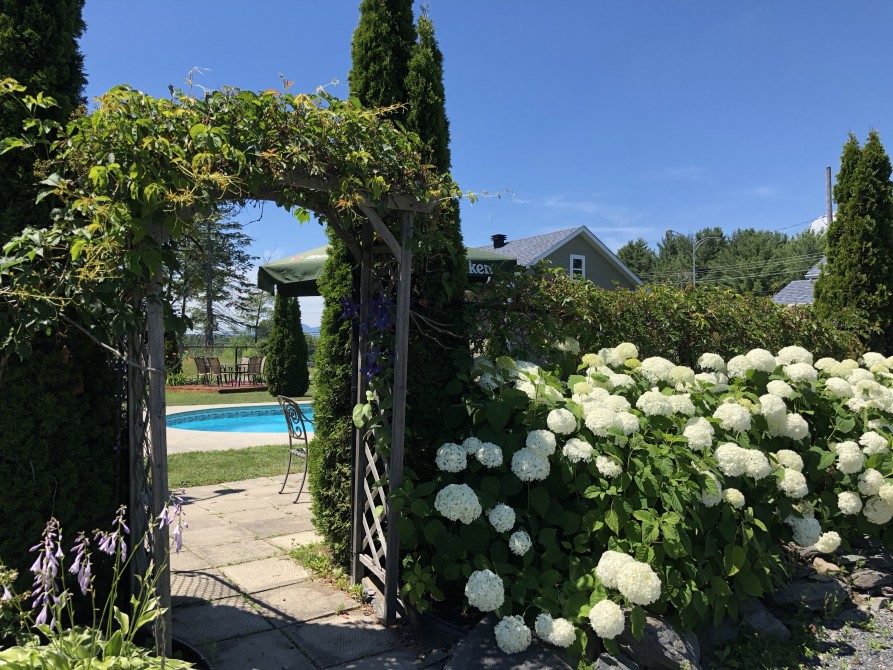 Motel des Cèdres: