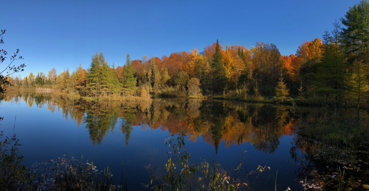 Private pond Fall season: