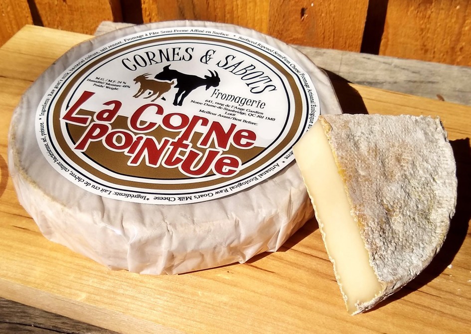 La Corne Pointue: Our semi-firm farmstead cheese, chevrotin style.