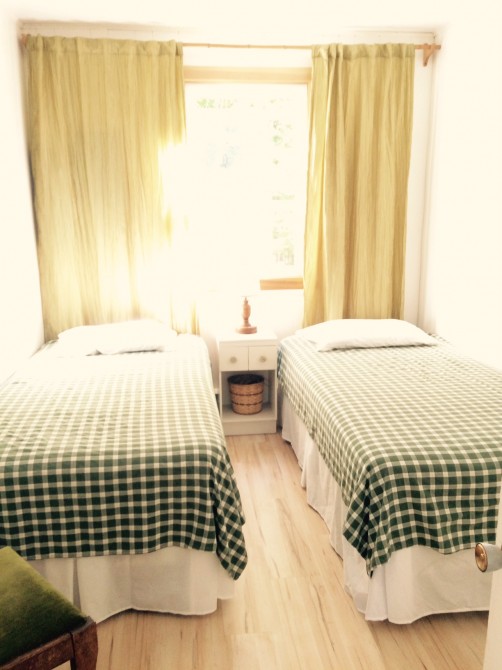 Prèle Cottage: Bedroom with two single beds