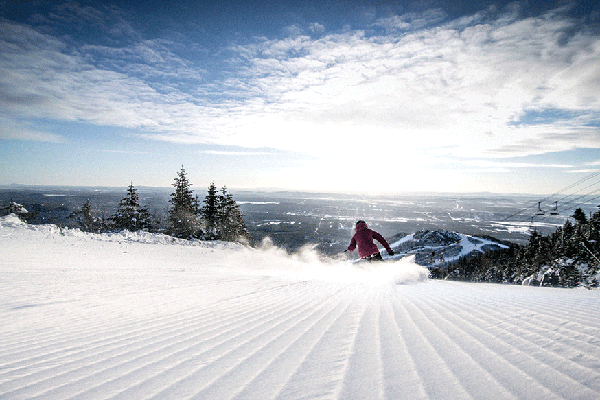 Skier: