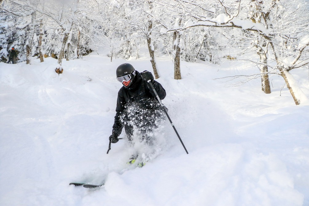 Powder: