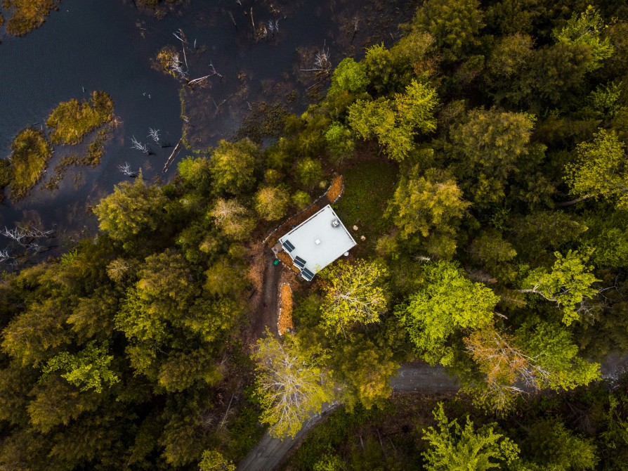 Zoobox: Up in the air