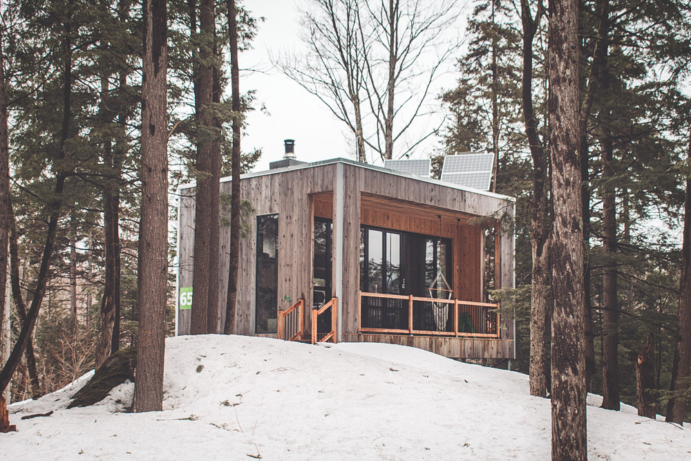 Zoobox: Zoobox during winter