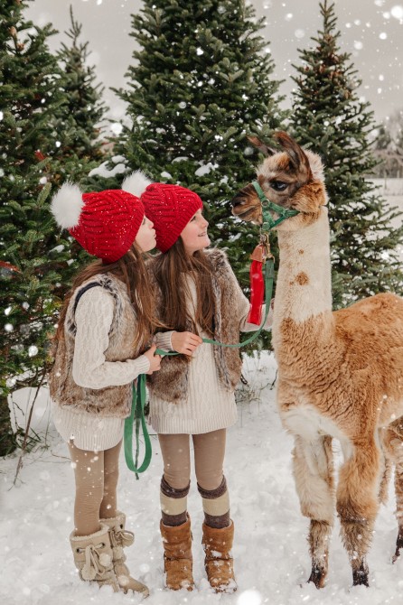 Verger Champetre - Winter: Granby
Orchard
Apple
Animals
Family
Outside
Activities
Christmas
Winter
Snow