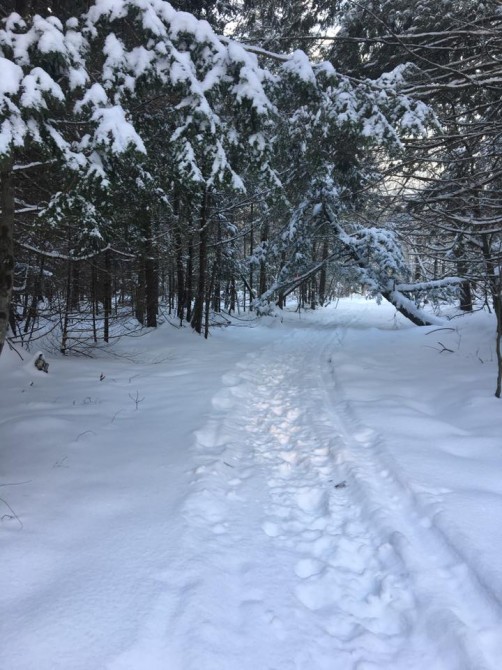 Trail #44: