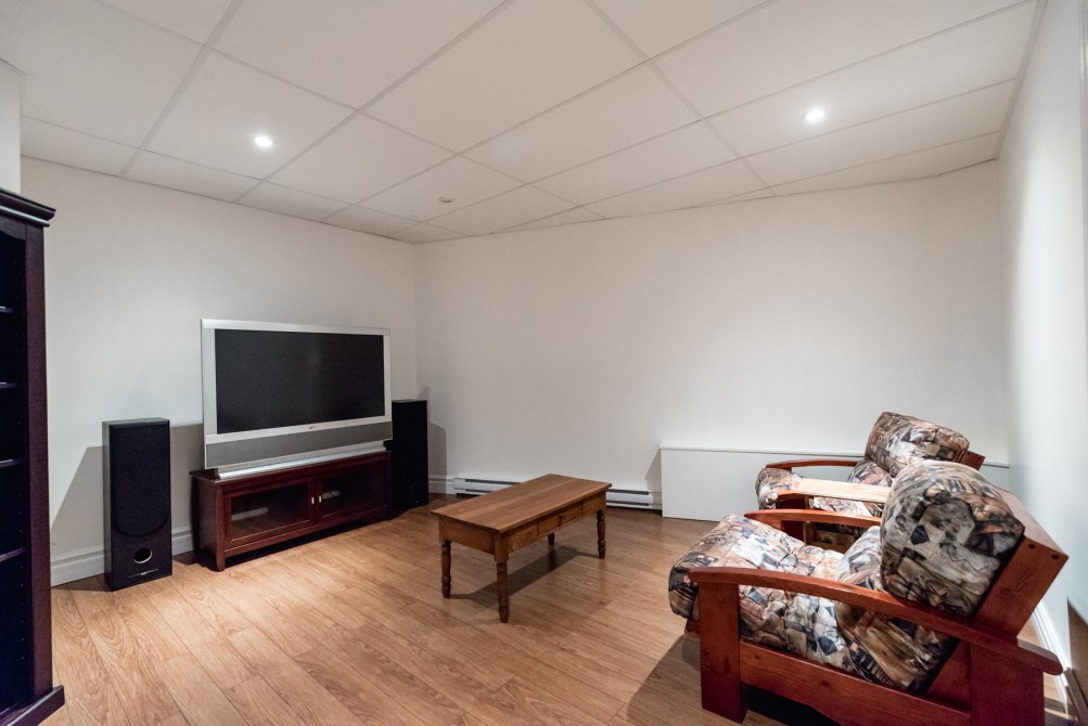 Basement living room: