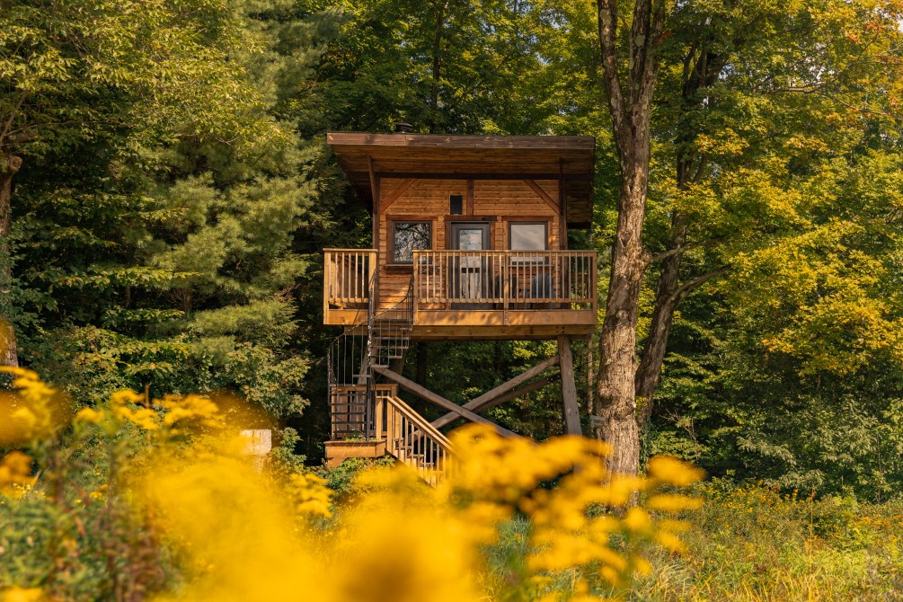 Paradis Perche - the firetower: treehouse
