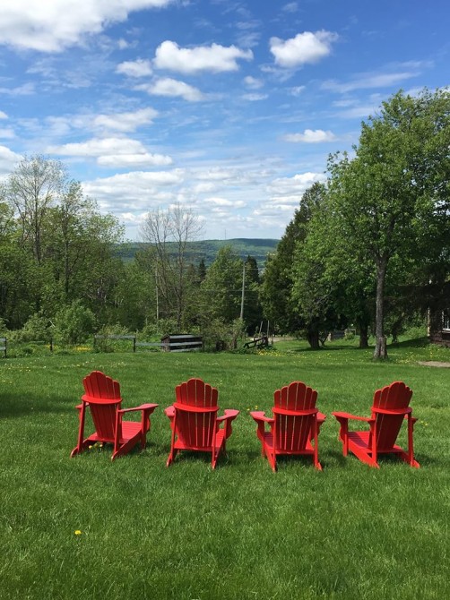 Summer at our place: