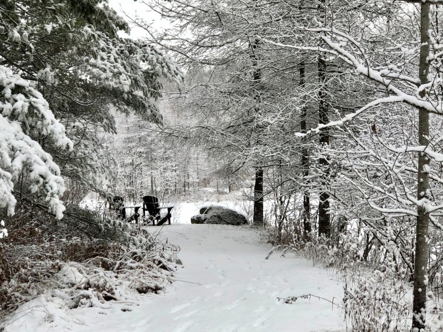 Winter wonderland: