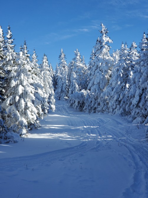 Trail : Lauz Altitude offers an array of hiking trails, cross-country skiing, snowshoeing, mountain biking, ATV, off-trail snowmobiling for locals and visitors who come to enjoy a cottage rental. Levels of difficulty .