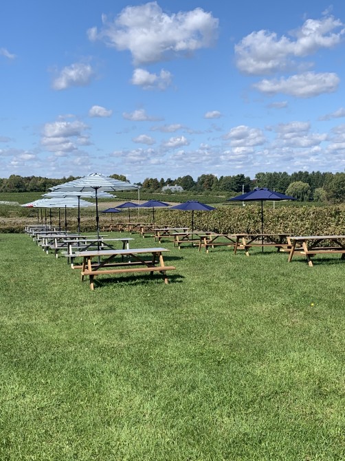 Picnic tables: Picnic basket reservations available on weekends.