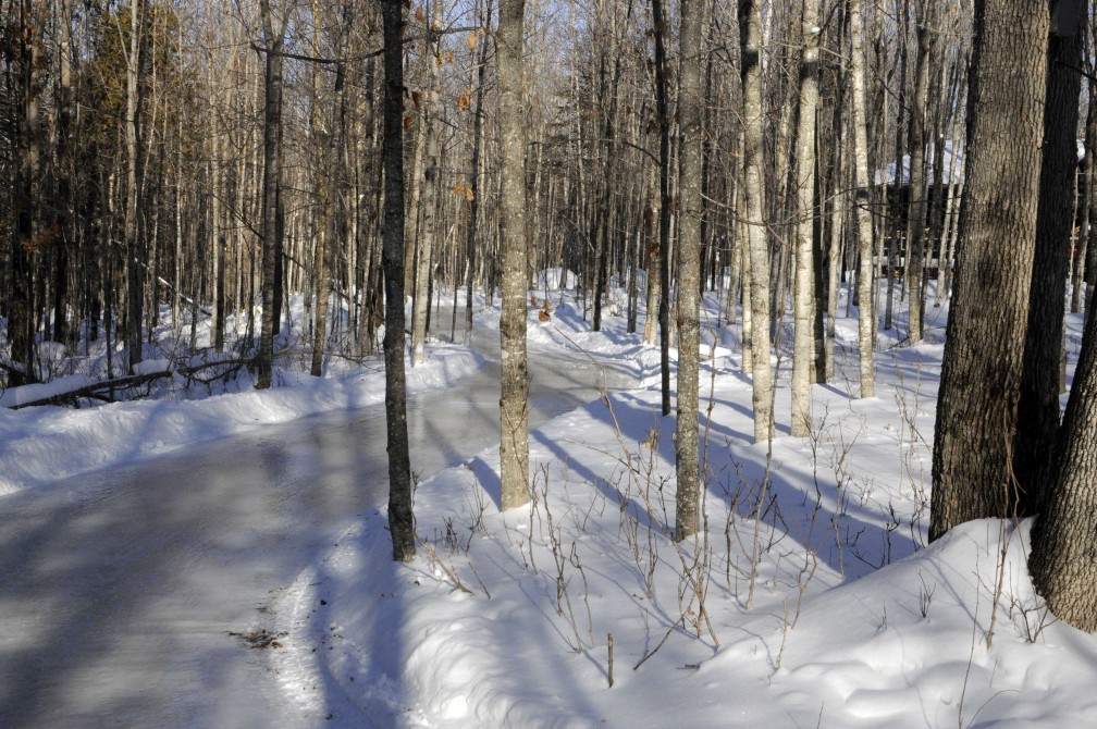 Skate trail in the forest: