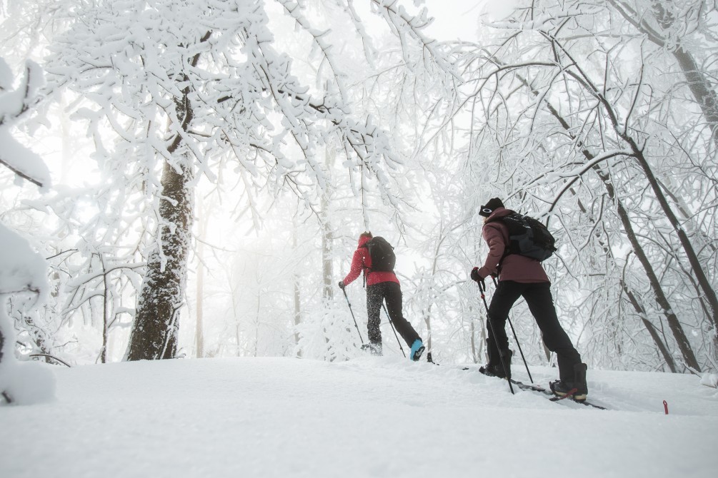 Alpine Touring: