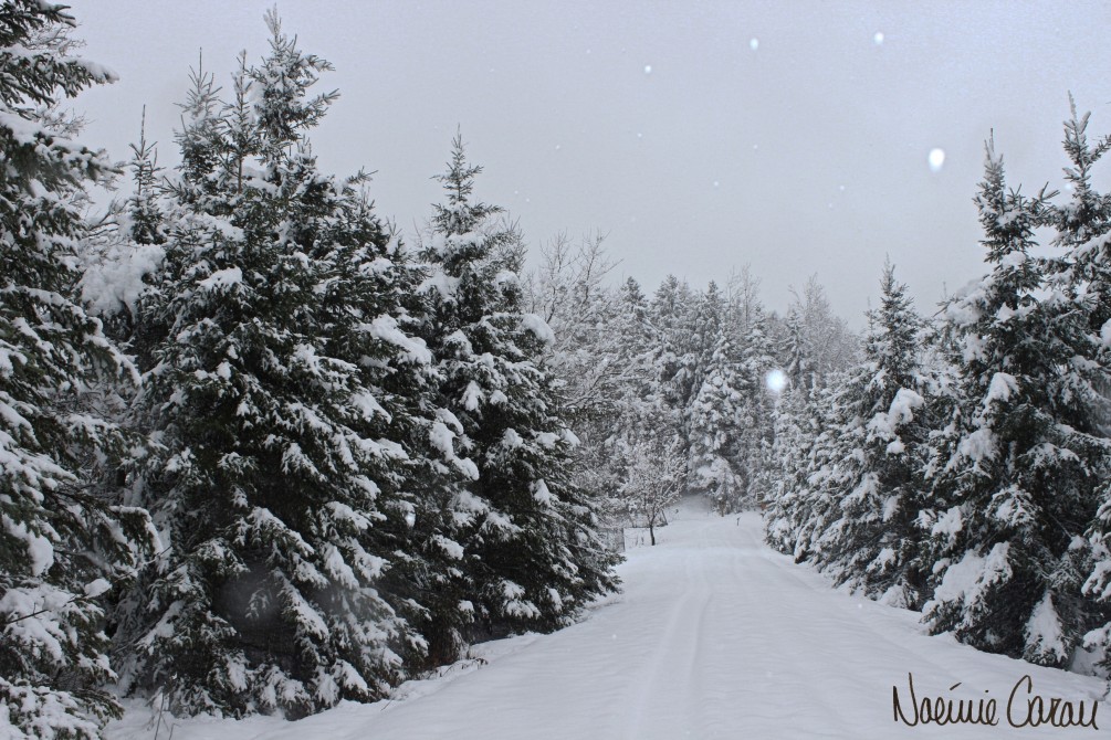 Snowshoeing: Snowshoeing