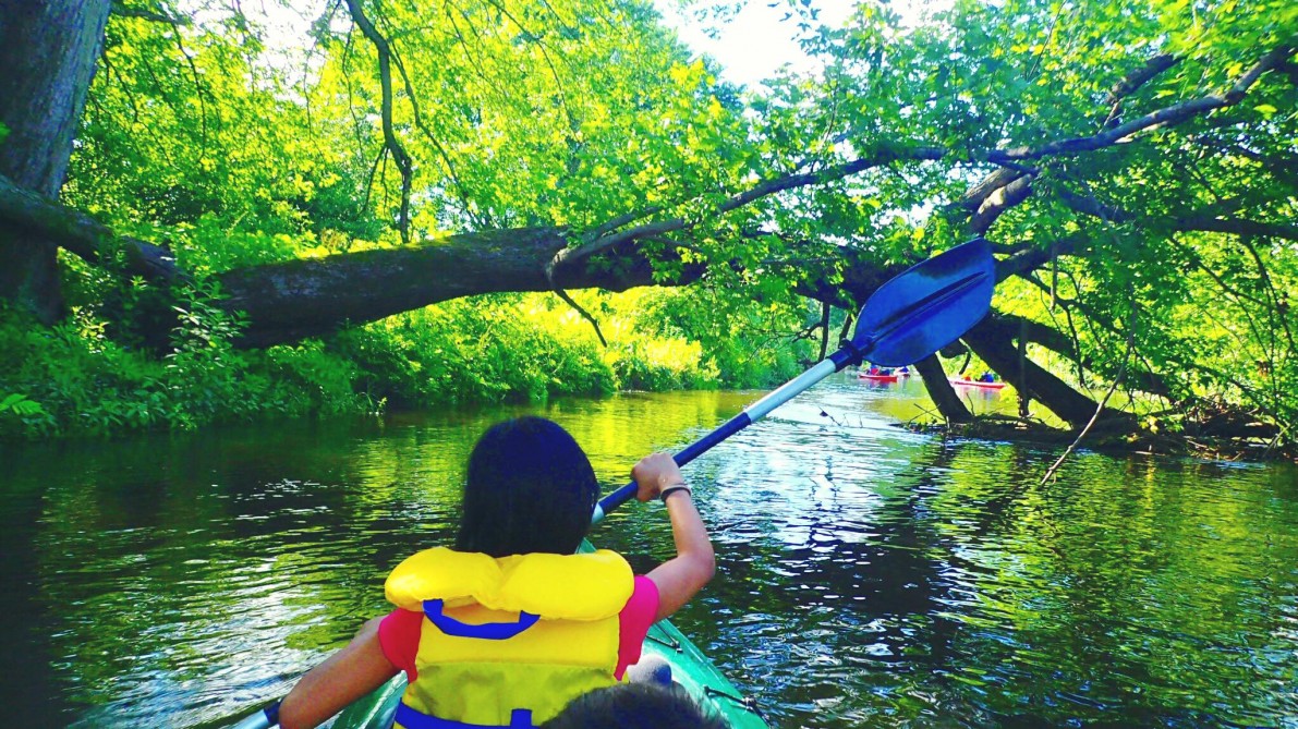  canoe kayak excursion sutton  riviere missisquoi :