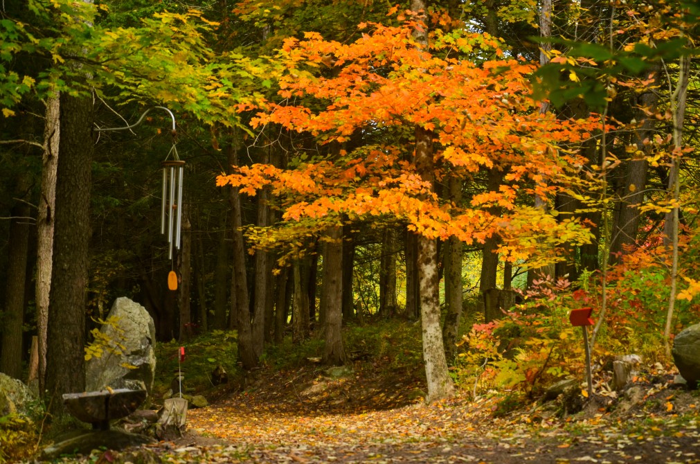Nature trails: We now offer 4km of nature interpretive trails!