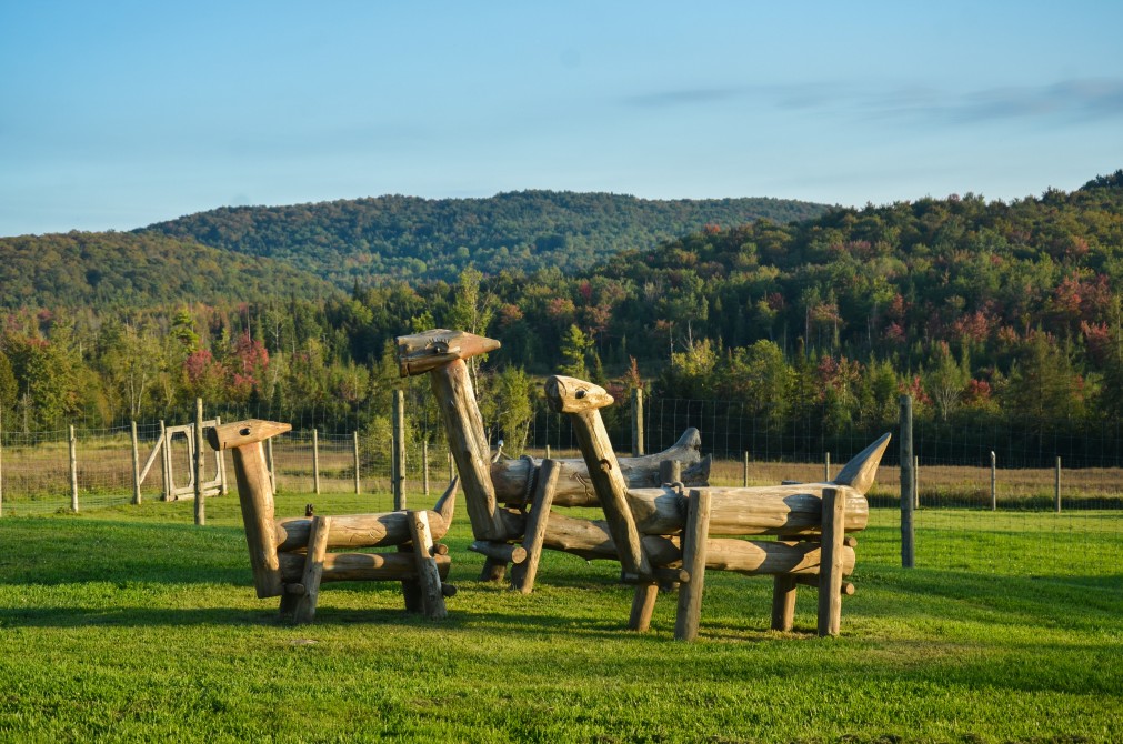 Playground: Our famous wooden alpacas located at the main observation area.