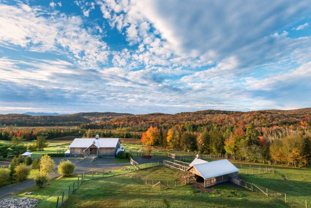 The farm: Aerial view of the farm.