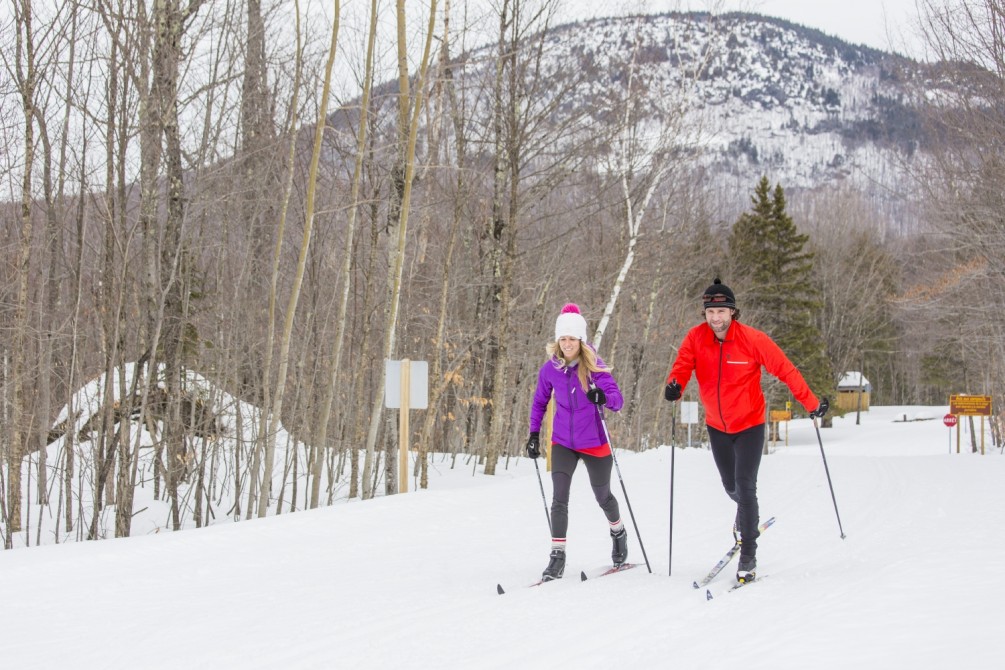 Cross-country skiing: