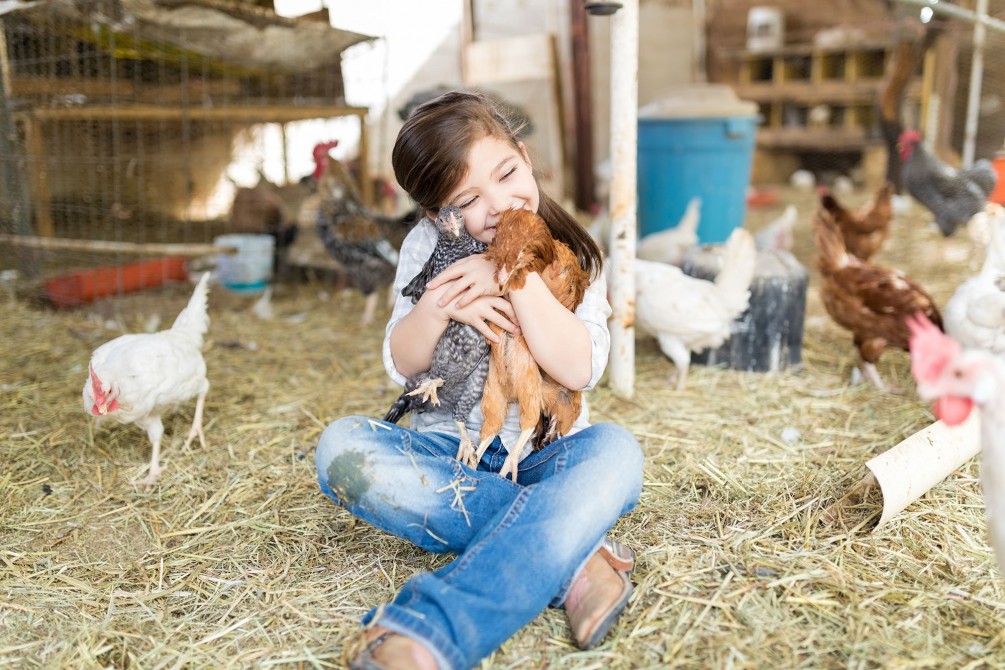 FARM PASSION: (May 29 and 30, 2021)
Book your weekend on May 29th, as we have a weekend full of educational and enriching activities in store for you. Three farms in the region, including the Ferme des petits Torrieux, will open their doors to you and a host of discoveries await you.