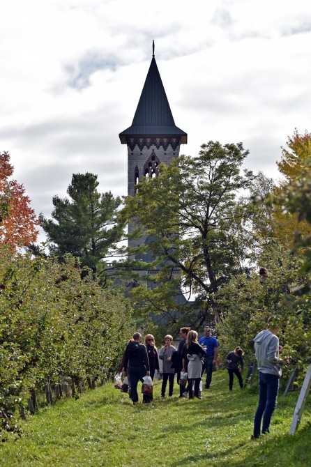 U-pick apples orchards: