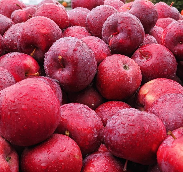 Verger Champêtre: Granby
Orchard
Apples